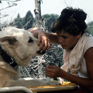 Fotoğraf Beyaz Köpek