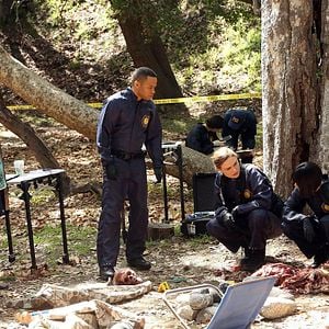 Fotoğraf Patricia Belcher