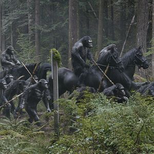 Fotoğraf Maymunlar Cehennemi: Şafak Vakti