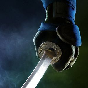 Fotoğraf Ninja Kaplumbağalar 3D