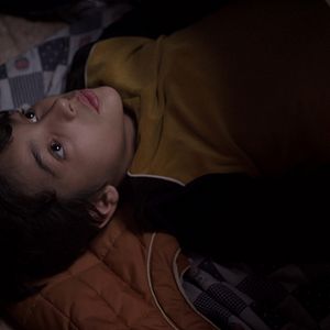 Fotoğraf Muhteşem Kedi Balığı