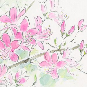 Fotoğraf Prenses Kaguya Masalı