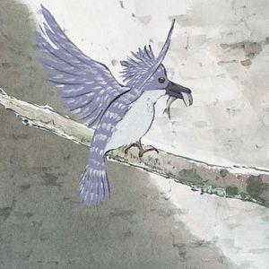 Fotoğraf Prenses Kaguya Masalı