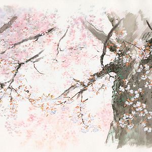 Fotoğraf Prenses Kaguya Masalı