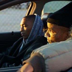 Fotoğraf Life of a King