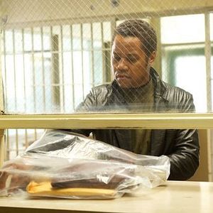 Fotoğraf Life of a King