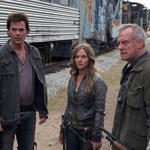 Fotoğraf Stephen Collins