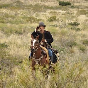 Fotoğraf Hayal Ülkesi