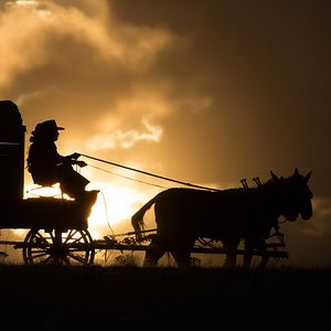Fotoğraf The Homesman