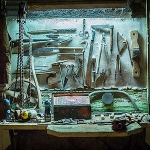 Fotoğraf Wolf Creek 2