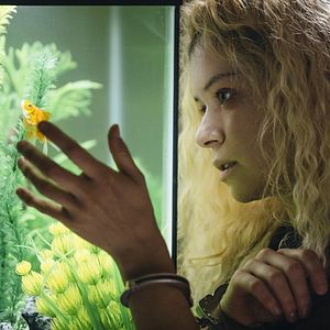 Fotoğraf Tatiana Maslany