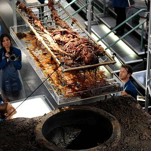 Fotoğraf Michaela Conlin