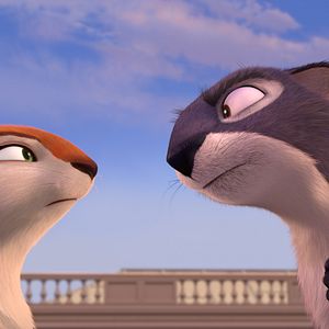 Fotoğraf Fındık İşi