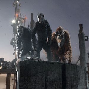 Fotoğraf Maymunlar Cehennemi: Şafak Vakti