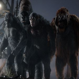 Fotoğraf Maymunlar Cehennemi: Şafak Vakti