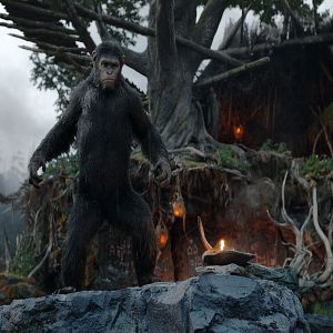 Fotoğraf Maymunlar Cehennemi: Şafak Vakti