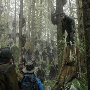 Fotoğraf Maymunlar Cehennemi: Şafak Vakti