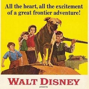 Fotoğraf Old Yeller