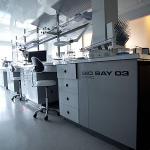 Fotoğraf The Lottery