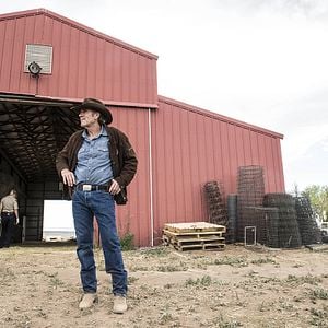 Fotoğraf Robert Taylor (II)