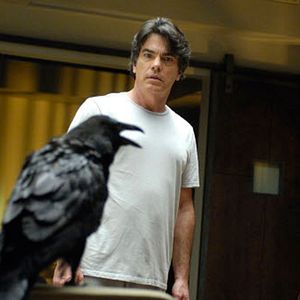 Fotoğraf The Gathering