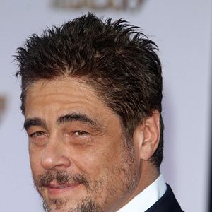 Fotoğraf Benicio Del Toro