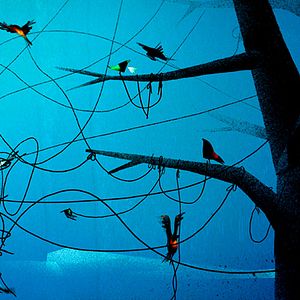 Fotoğraf The Prophet