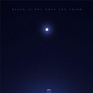 Fotoğraf Gece Yarısı Dalışı