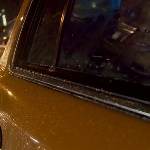 Fotoğraf Ormanın Şarkısı