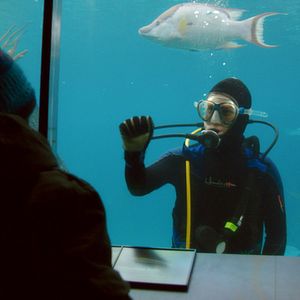 Fotoğraf Ormanın Şarkısı