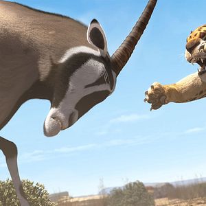 Fotoğraf Cesur Zebra