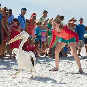 Fotoğraf Cozi Zuehlsdorff