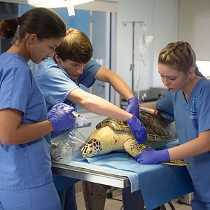 Fotoğraf Cozi Zuehlsdorff