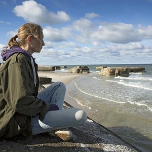 Fotoğraf Hayvan Düşü