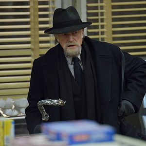 Fotoğraf David Bradley (IV)