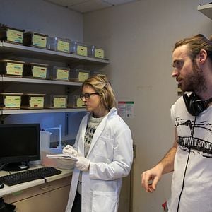 Fotoğraf Brit Marling