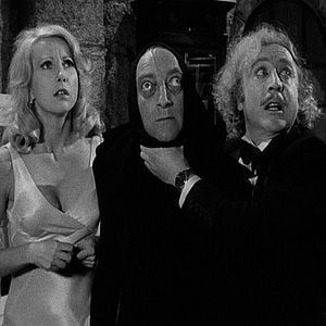 Fotoğraf Young Frankenstein