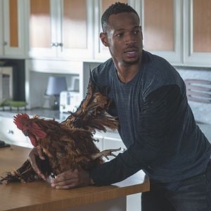 Fotoğraf Anormal Aktivite 2