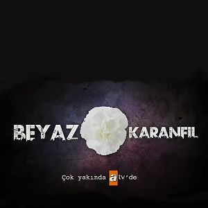 Fotoğraf Beyaz Karanfil