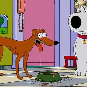 Fotoğraf Family Guy