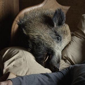 Fotoğraf Kevin Kline