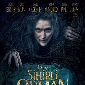 Fotoğraf Sihirli Orman