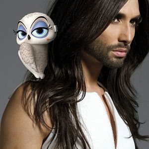 Fotoğraf Madagaskar Penguenleri