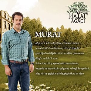 Fotoğraf Hayat Ağacı