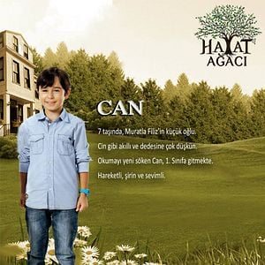 Fotoğraf Hayat Ağacı