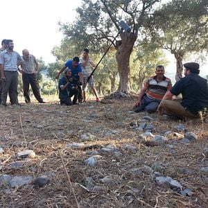 Fotoğraf Üç, İki, Bir... Kestik!