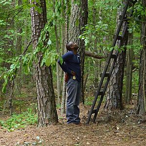 Fotoğraf Resurrection