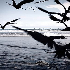 Fotoğraf Silence in Dreamland