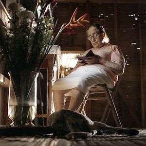 Fotoğraf Silence in Dreamland