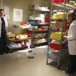 Fotoğraf Sara Ramirez